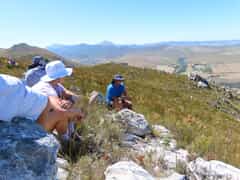 Strandveld Hiking Club Takes on Tesselaarsdal!