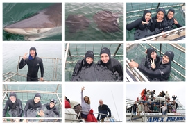 Daily Blog: 27 January 2025 | Shark Cage Diving in South Africa