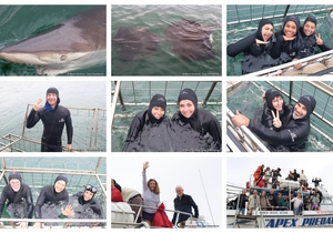 Daily Blog: 27 January 2025 | Shark Cage Diving in South Africa