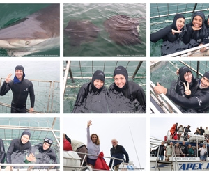 Daily Blog: 27 January 2025 | Shark Cage Diving in South Africa