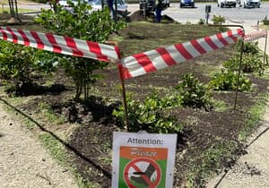 Gardening in Progress at PROactive Fitness!