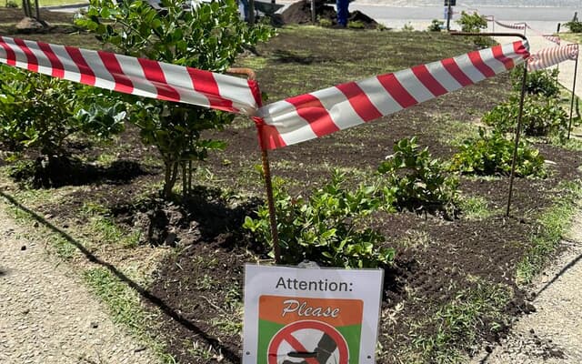 WhatsApp_Image_2025_01_31_at_07.25.07_1738302357