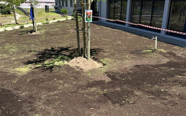 WhatsApp_Image_2025_01_31_at_07.25.08_1_1738302358