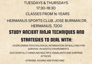 Master Ninjutsu at PROactive Fitness!