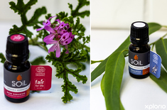 kleinmond_holistic_healing_mirre_en_kaneel_essensiele_olies_essential_oils_rose_geranium_and_eucalyptus_essential_oil_1738322589
