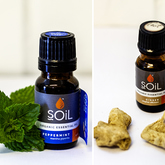 Essential Oils - Mirre & Kaneel Essensiële Olies / Essential Oils - Xplorio™ Kleinmond