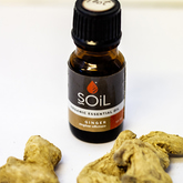 Essential Oils - Mirre & Kaneel Essensiële Olies / Essential Oils - Xplorio™ Kleinmond