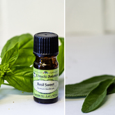 Essential Oils - Mirre & Kaneel Essensiële Olies / Essential Oils - Xplorio™ Kleinmond