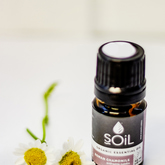 Essential Oils - Mirre & Kaneel Essensiële Olies / Essential Oils - Xplorio™ Kleinmond