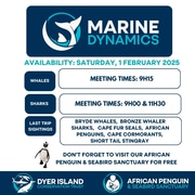 Next Shark Cage Diving Trip: 1 February 2025