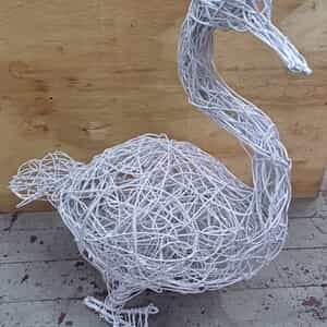 WhatsApp_Image_2025_02_03_at_10.20.07_1738571636