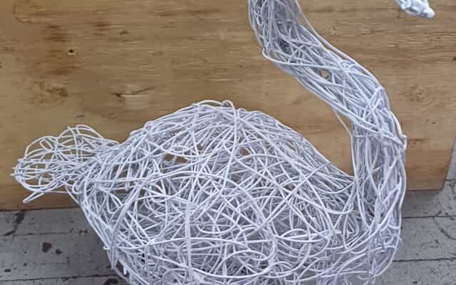 WhatsApp_Image_2025_02_03_at_10.20.07_1738571636