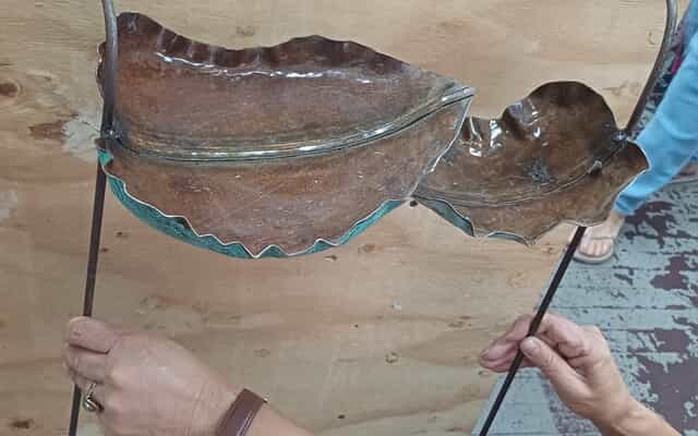 WhatsApp_Image_2025_02_03_at_10.20.08_1738571637