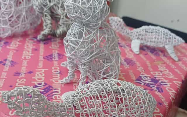 WhatsApp_Image_2025_02_03_at_10.20.09_1738571637