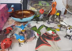 New Arrivals at The Pet Grocer!