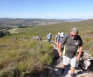 8 February 2025 Hike: Flower Valley