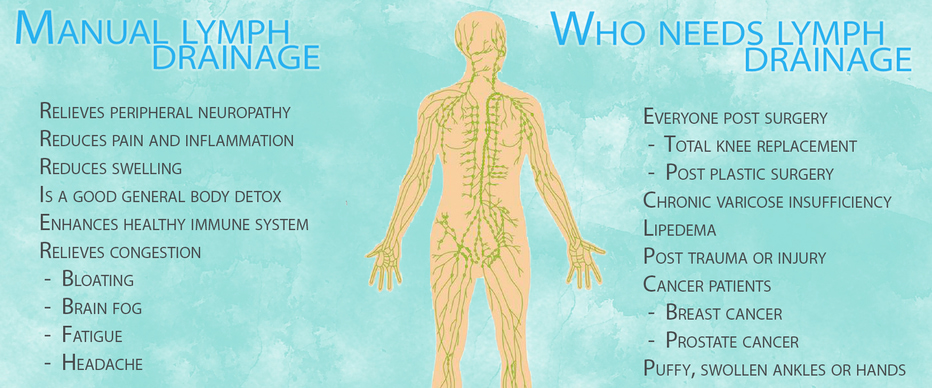 featured_image_template_copy_1738922797