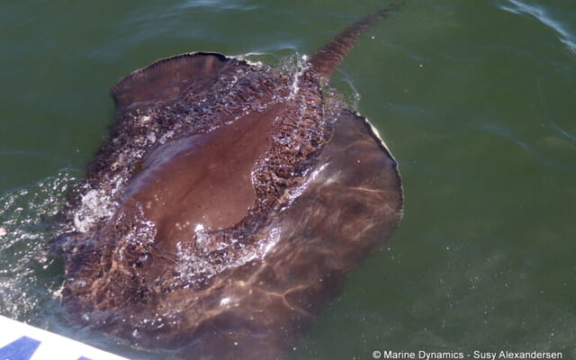 03_20250211_SF_Trip1_SAlexandersen_IMG057_768x513_1739360894