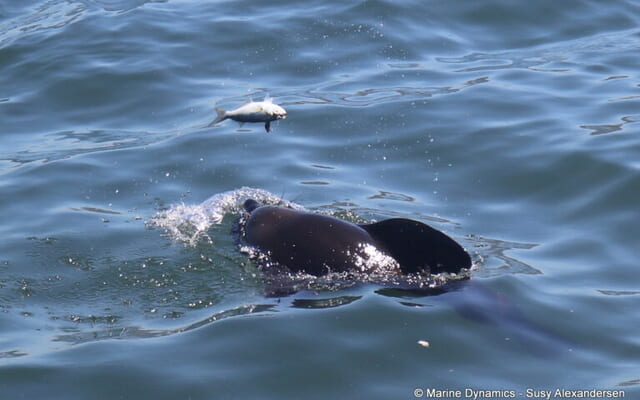 13_20250211_SF_Trip1_SAlexandersen_IMG239_768x511_1739360893