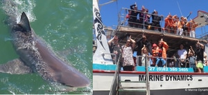 Daily Blog: 11 February 2025