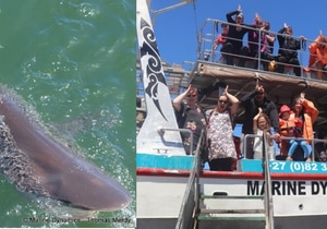 Daily Blog: 11 February 2025