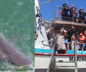 Daily Blog: 11 February 2025