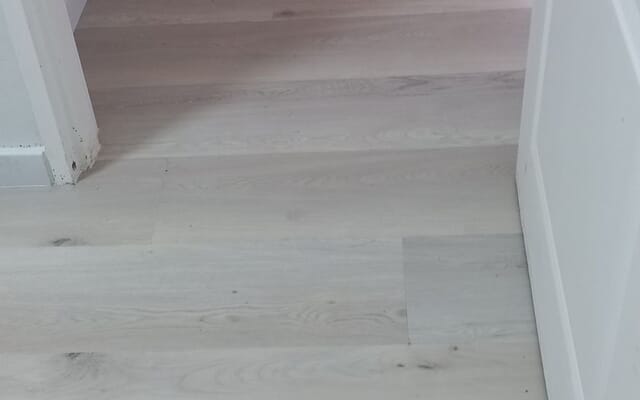 476383849_1266806304827344_7241505216548403928_n_1739361548 476383849_1266806304827344_7241505216548403928_n_1739361548