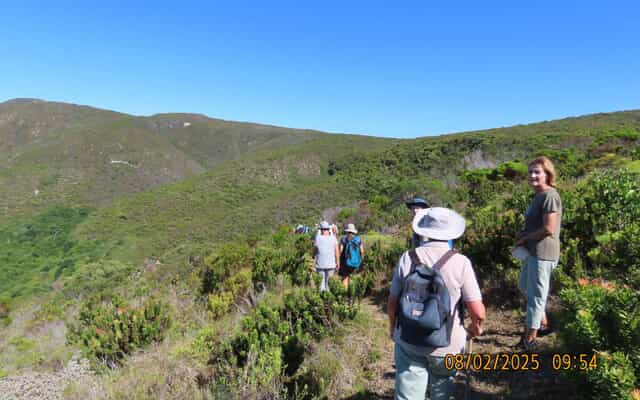 af29859d_cf89_4a6d_8f04_a7fed3543b7a_1739368047