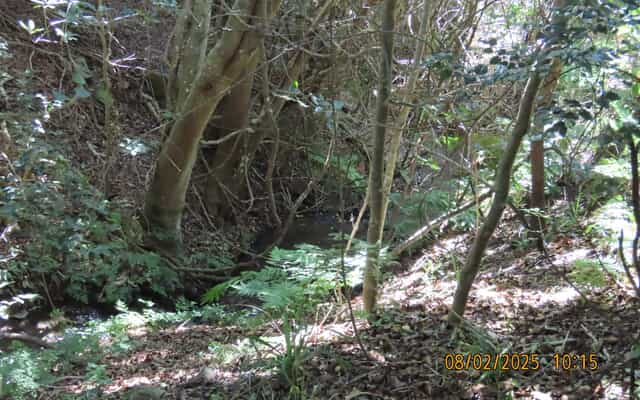 ecef2559_d9a6_4386_a2e2_3557a0d8b25b_1739368048