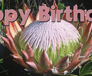 February Birthdays - Strandveld Hiking Club
