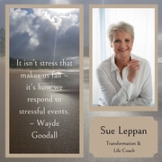 Shift Your Response, Transform Your Reality