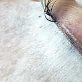 Lash Extensions - Visions Styl'n Chic - Xplorio™ Gansbaai