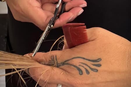 WhatsApp_Image_2025_02_07_at_15.01.13_1739514753