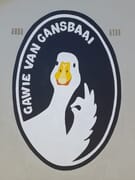 Meet Gawie, the Ambassador for the Gorgeous Gansbaai Arts Project!