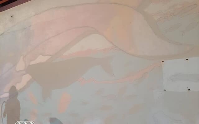 477852075_122168225768283540_5355578907075896563_n_1739518045