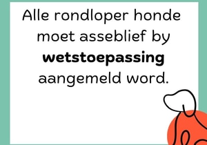 Report Stray Dogs to Law Enforcement