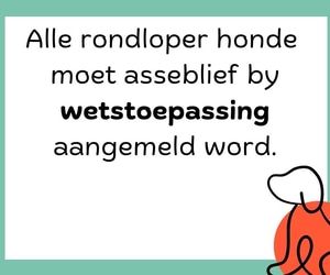 Report Stray Dogs to Law Enforcement