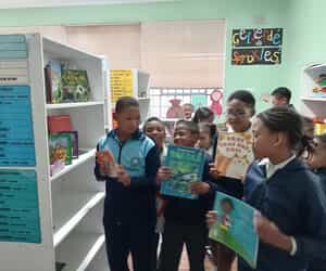 Grade 5 Book Review in Progress!