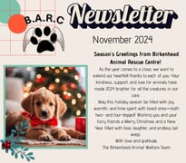 November 2024 Newsletter
