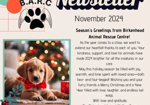 November 2024 Newsletter