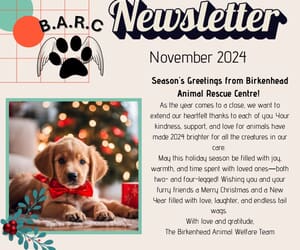 November 2024 Newsletter