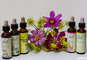 Bach Flower Remedies