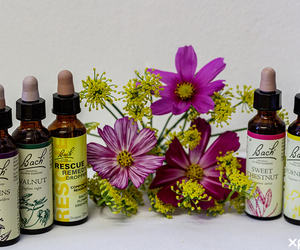 Bach Flower Remedies