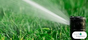 Effortless Garden Watering with Automatic Irrigation!