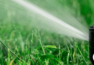 Effortless Garden Watering with Automatic Irrigation!