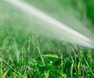 Effortless Garden Watering with Automatic Irrigation!