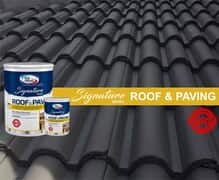 Extend Your Roof’s Life with Paint!