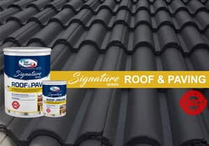 Extend Your Roof’s Life with Paint!