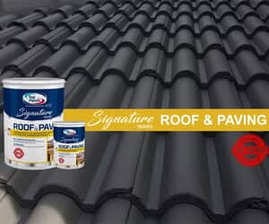 Extend Your Roof’s Life with Paint!