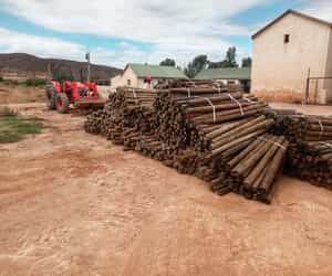 Affordable Pine Poles in Hermanus and Bredasdorp